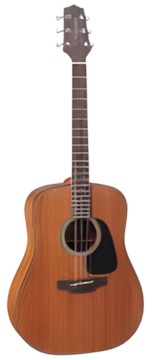 Takamine GD11M Takamine GD11M