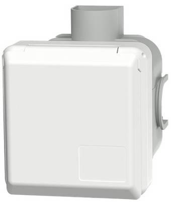 UP-Dose Cepex 4244 - Mennekes 4244 UP-Dose Cepex 4244 - Mennekes 4244