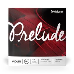 D'Addario J810-4/4M D'Addario J810-4/4M
