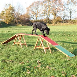 Trixie Dog Activity Agility Kāpnes