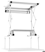celexon PL300 celexon PL300