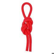 Salewa Red 9.6 mm 60 m Salewa Red 9.6 mm 60 m