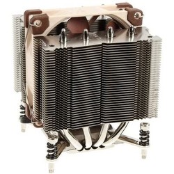Noctua
