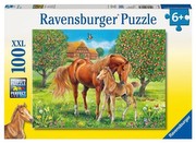 Ravensburger Zirgu laime pļavā
