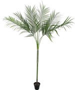 Europalms Areca deluxe 180 cm Europalms Areca deluxe 180 cm