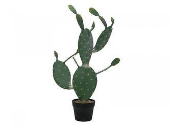 Europalms Blätterkaktus 76 cm Europalms Blätterkaktus 76 cm