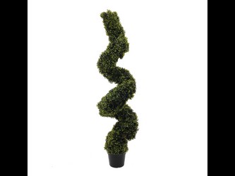 Europalms Buksuss pirālveida koks 150 cm Europalms Buksuss pirālveida koks 150 cm