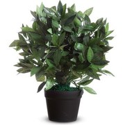 Paperflow Lauru koks 50 cm Paperflow Lauru koks 50 cm