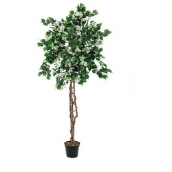 Europalms Bougainvillea balts 180 cm Europalms Bougainvillea balts 180 cm