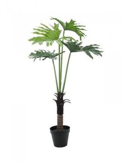 Europalms Splitphilodendron 120 cm