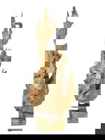 Europalms Wurzelobjekt Teak dabīgs 160 cm Europalms Wurzelobjekt Teak dabīgs 160 cm