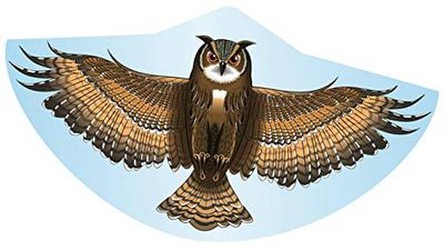 Paul Günther 1193 Pūce