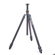 3 Legged Thing Winston 2.0