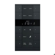 Busch-Jaeger Telpas temperatūras regulators (SBR/U10.0.11-885)