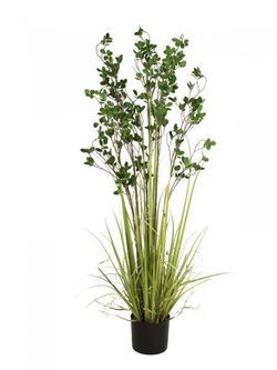 Europalms Immergrünstrauch ar zāli 152 cm Europalms Immergrünstrauch ar zāli 152 cm