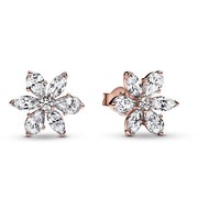 Pandora Funkelnde Herbarium Cluster auskars (282407C01)