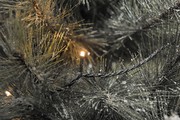 Konstsmide LED Mikro gaismas virtene 80x (3611-800) Konstsmide LED Mikro gaismas virtene 80x (3611-800)