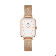 Daniel Wellington Quadro (DW00100431) Daniel Wellington Quadro (DW00100431)