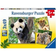 Ravensburger Puzzle Panda, Tīģeris un Lauva (05666)