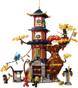 LEGO NINJAGO Pūķu spēka templis (71795) LEGO NINJAGO Pūķu spēka templis (71795)
