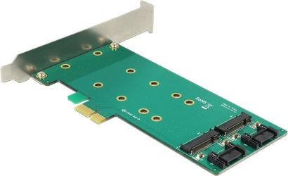 Delock PCI Express x1 karte > 2 x iekšējais M.2 Key B 110 mm (89473)
