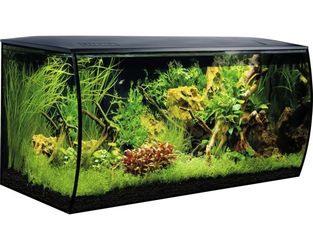 Fluval Flex Aquarienset 123 l Fluval Flex Aquarienset 123 l