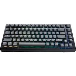 Ducky Tinker 75 (PKTI2383AST-CCUSPDOECLAAW1)