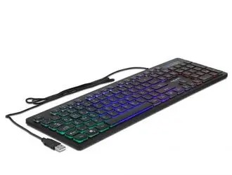 Delock USB tastatūra vadu 1,5 m ar RGB (12625)