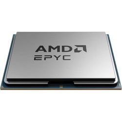 AMD Epyc 9555P Tray