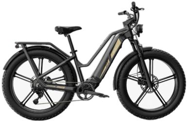 Fiido Titan Fiido Titan