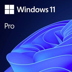 Microsoft Windows 11 Pro Nīderlandiešu Microsoft Windows 11 Pro Nīderlandiešu