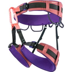 Beal Trinity Beal Trinity