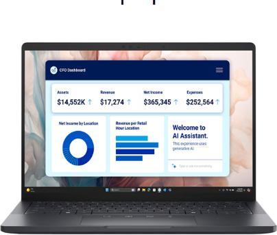 Dell Pro 13 Premium PA13250 (8FP9R)