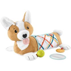 Fisher-Price 3-in-1 kucēna rotaļu spilvens (HJW10) Fisher-Price 3-in-1 kucēna rotaļu spilvens (HJW10)