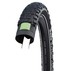 Schwalbe