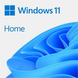 Microsoft Windows 11 Home angļu Microsoft Windows 11 Home angļu