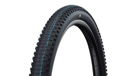 Schwalbe