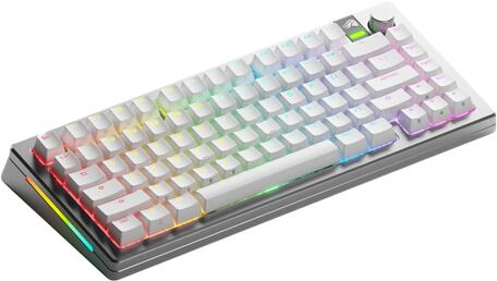 Glorious Gaming GMMK 3 Pro Wireless 75% Prebuilt sudrabs US (GLO-KB-GMMK3-PRO-75-PB-FOX-WL-SIL-US) Glorious Gaming GMMK 3 Pro Wireless 75% Prebuilt sudrabs US (GLO-KB-GMMK3-PRO-75-PB-FOX-WL-SIL-US)