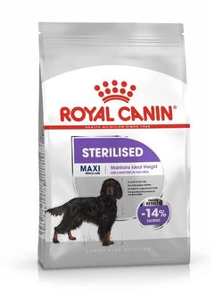Royal Canin Sterilised Maxi 12 kg Royal Canin Sterilised Maxi 12 kg