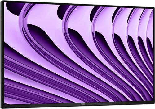 Dell Pro P P2426HEWO