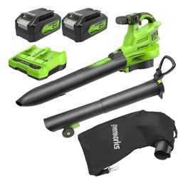 GreenWorks BL48L421-01 GreenWorks BL48L421-01