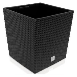 Prosperplast Rato Low 40 x 40 cm Prosperplast Rato Low 40 x 40 cm