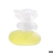 Kenzo Ca Sent Beau tualetes ūdens 50 ml