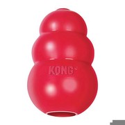 Paulchen Kong L 15011