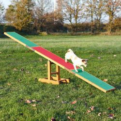 Trixie Agility Wippe 300 x 54 x 34 cm