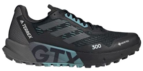 Adidas Terrex Agravic Flow 2 GTX vīriešiem