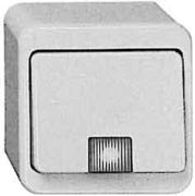 Berker Kontroll-Wippschalter 301640 Berker Kontroll-Wippschalter 301640