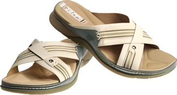 Clarks Palm