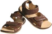 Clarks Wave