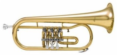 Dimavery FH-310D Dimavery FH-310D